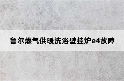 鲁尔燃气供暖洗浴壁挂炉e4故障