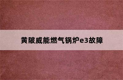 黄陂威能燃气锅炉e3故障